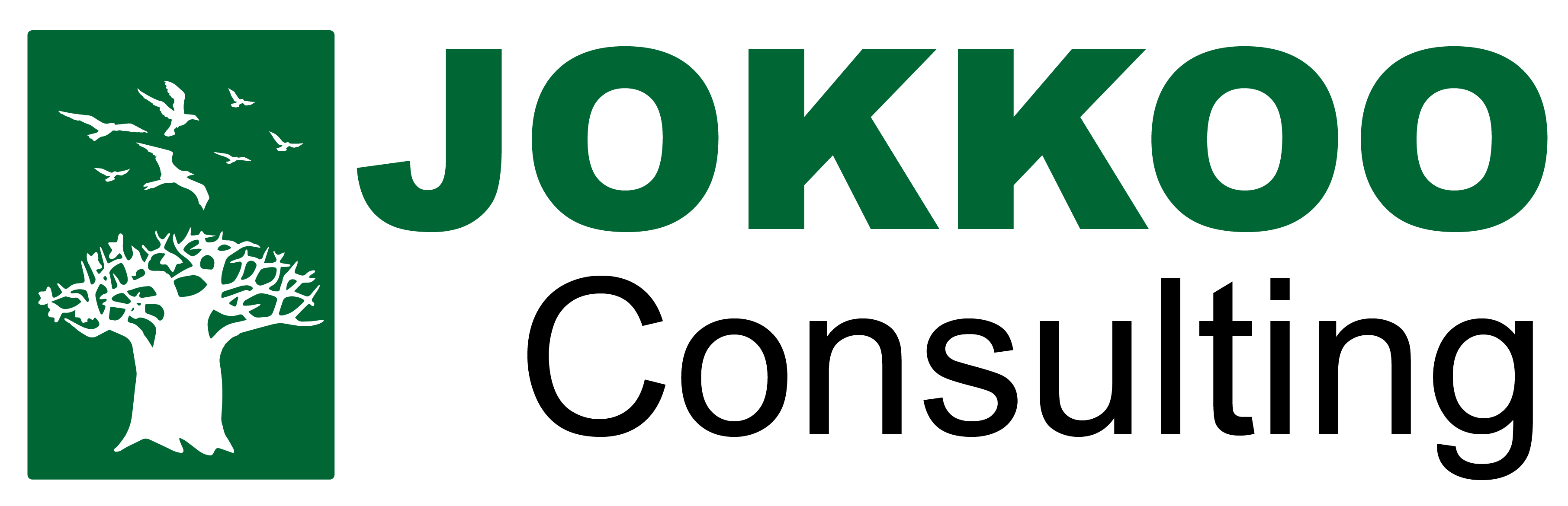 Jokkoo Consulting