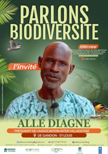 alle-diagne