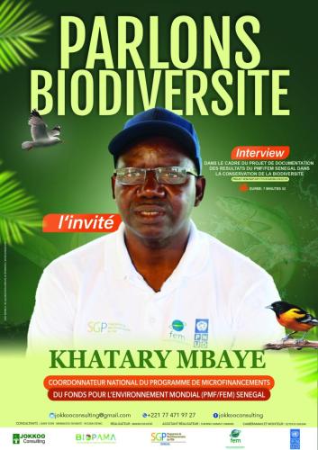 khatary mbaye b