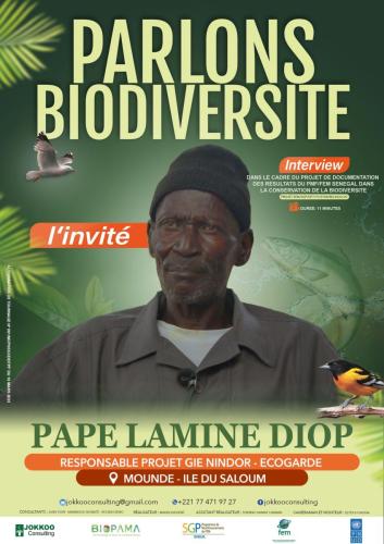 pape-lamine